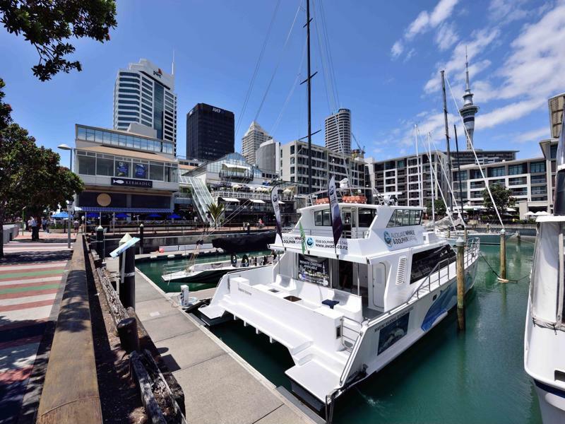 Furnished Apartment In Auckland Cbd Exteriör bild
